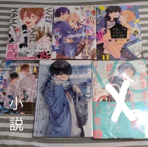 BL漫画　まとめ売り　バラ売り可　12冊