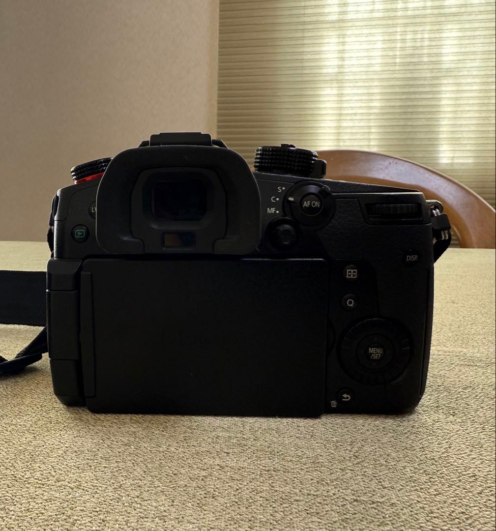 LUMIX GH5 II デジタル一眼レフ 本体標準ズームレンズキット