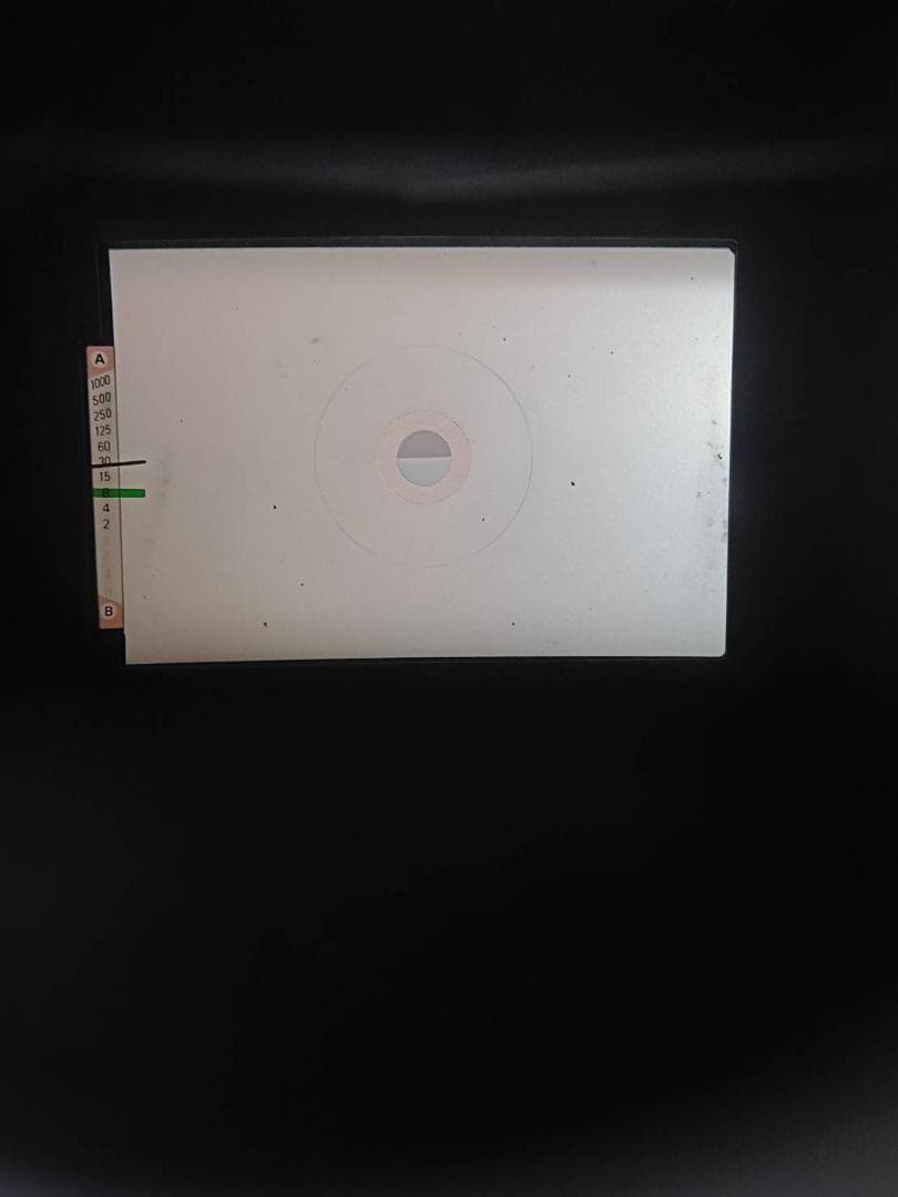 超美品 ニコン EL2 シルバー 説明書付 モルト新品交換済 M439