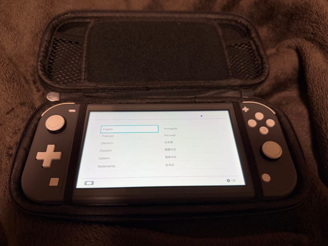 【原則即日発送】Nintendo Switch Lite グレー