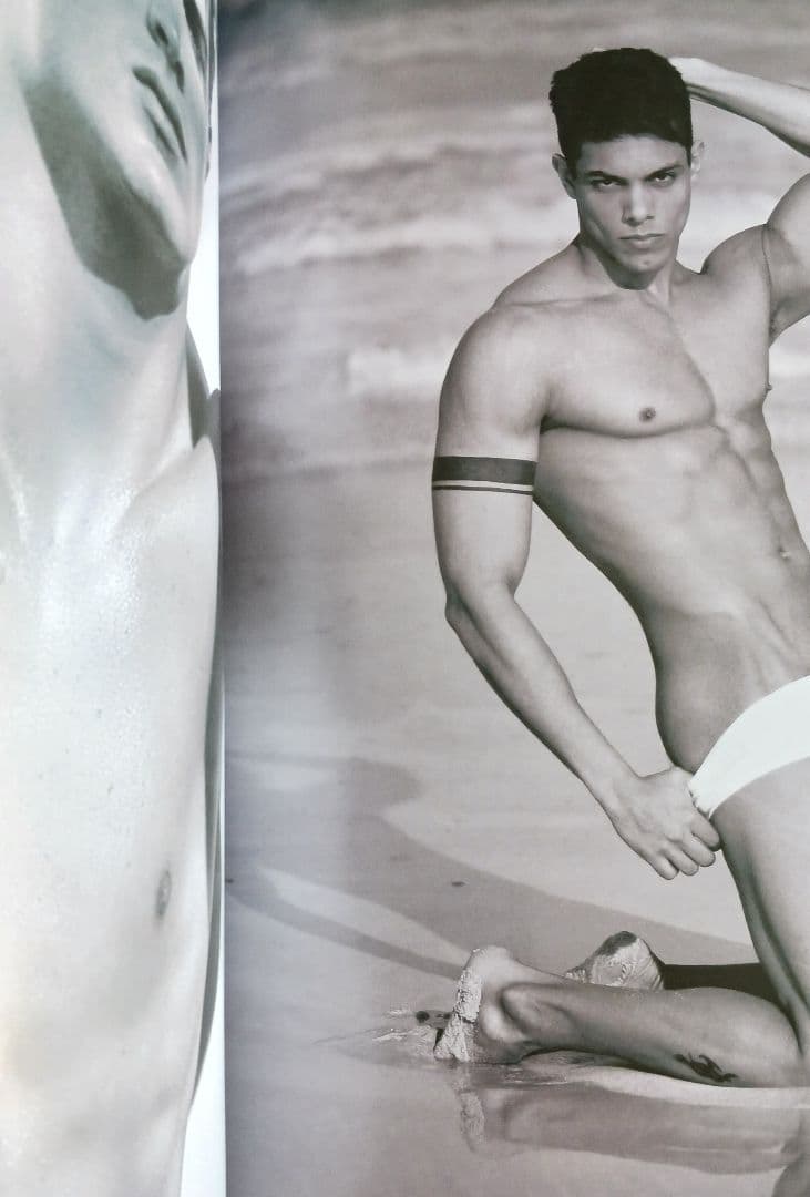 Beach Boys Max-Arthur Mantle 写真集