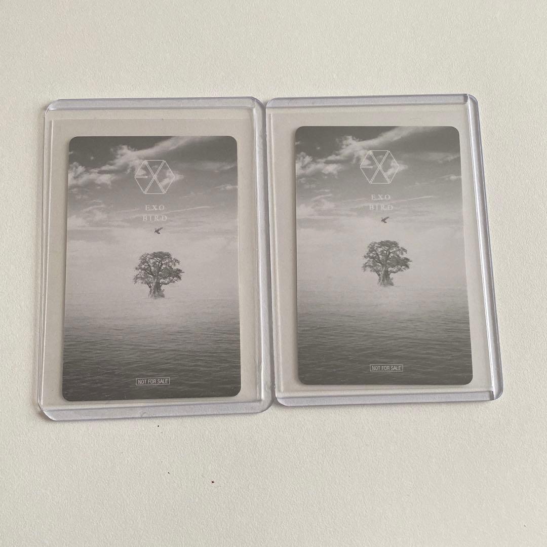 EXO チャニョル セフン トレカ bird 会員限定 トレカ