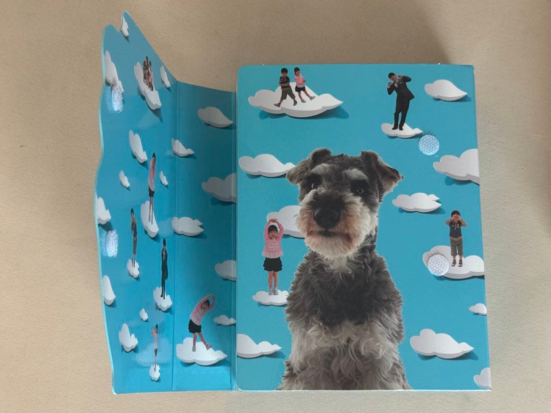 マルモのおきて DVD-BOX〈7枚組〉初回特典付