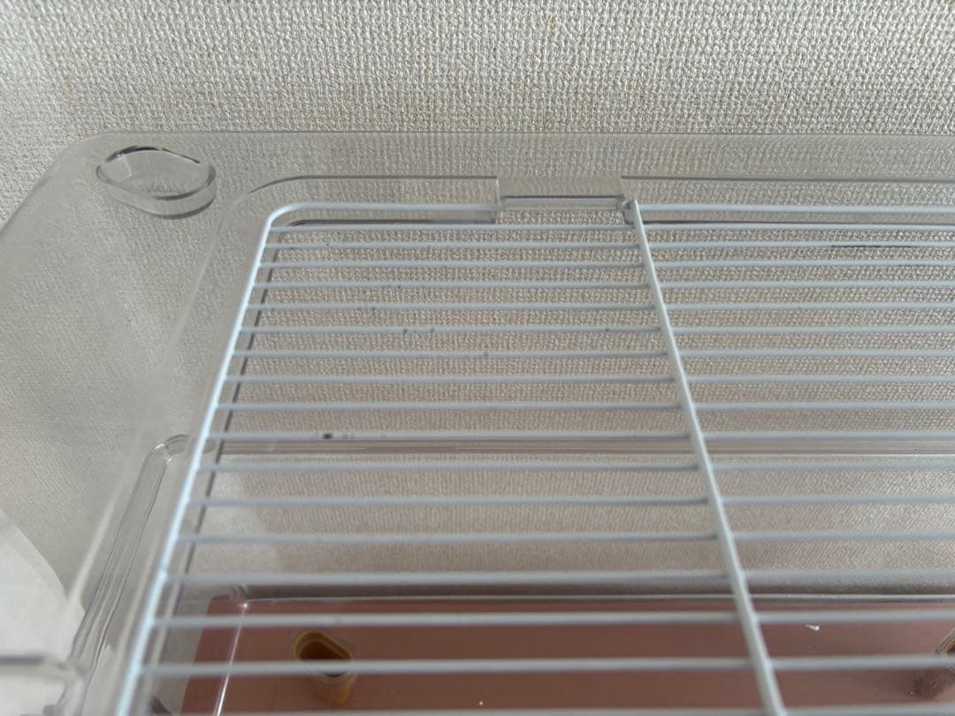 BUCATSTATE 飼育セット