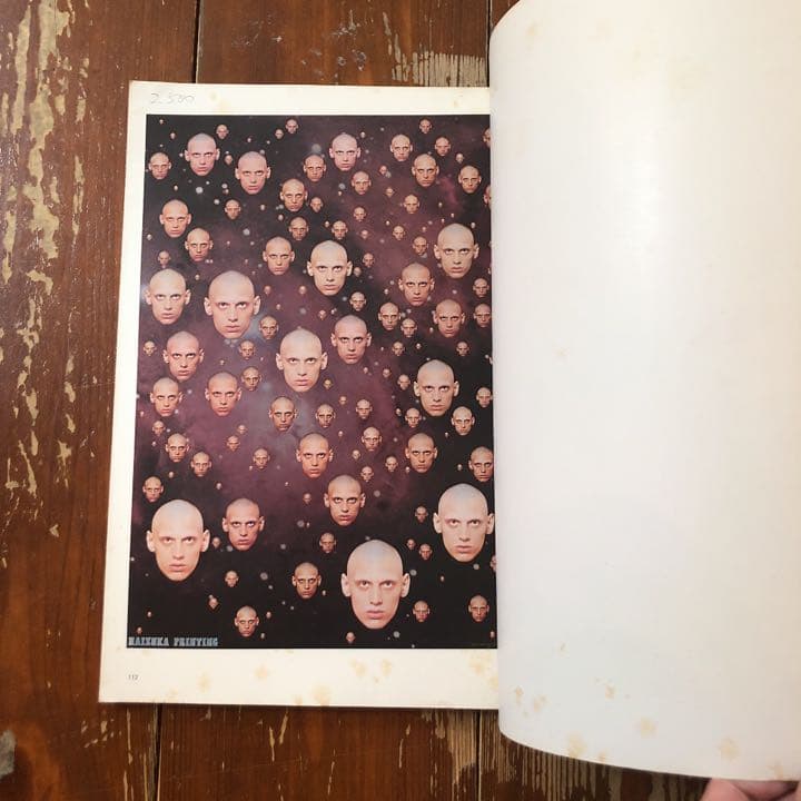 100 Posters of TADANORI YOKOO 横尾忠則ポスター集