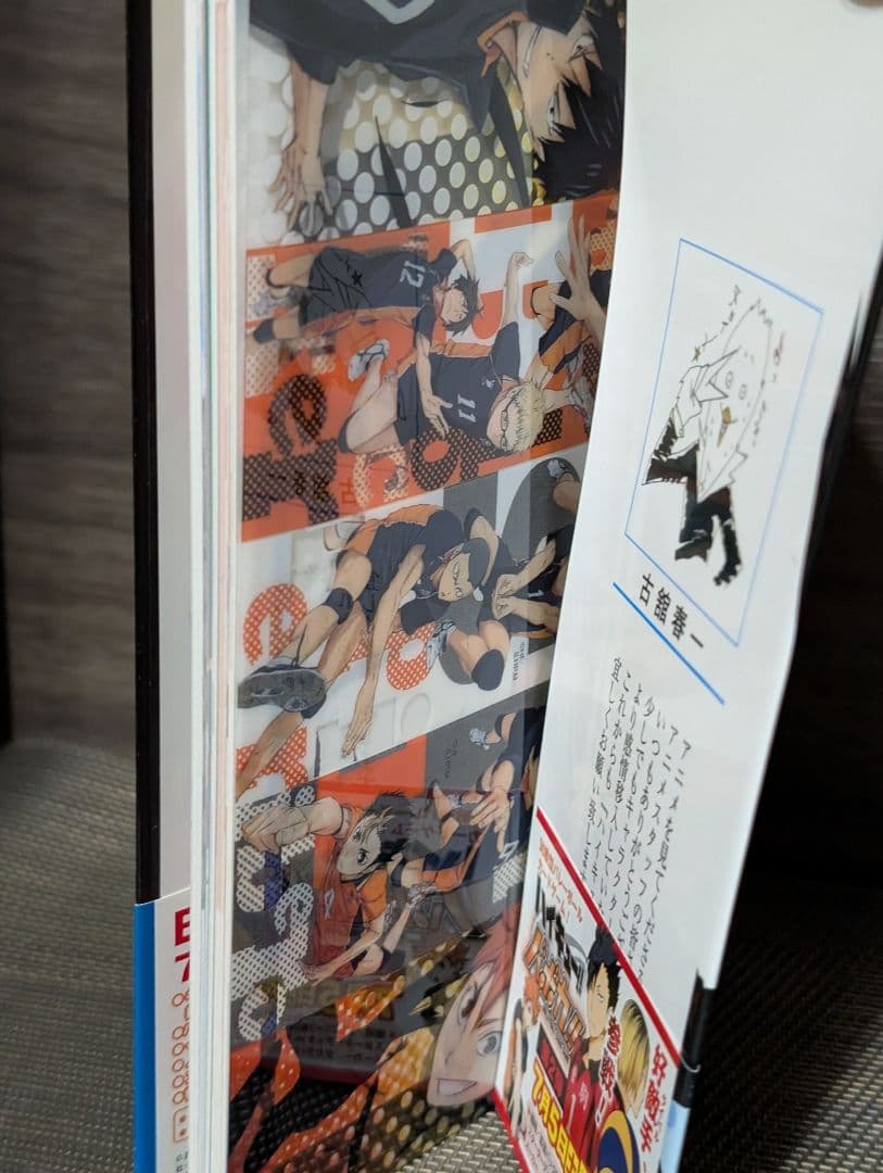 【49冊】ハイキュー!! 1〜45巻 TVアニメチームブック/セイシュンメイカン