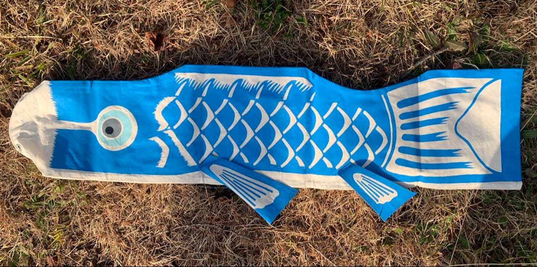 歌川広重「名所江戸百景　水道橋駿河台」手染め豆広重鯉1.1m子鯉緑セット鯉のぼり