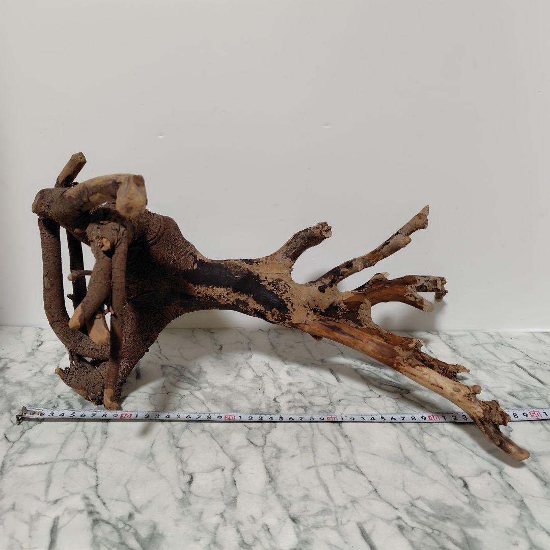 アク抜き済み流木【884】セール