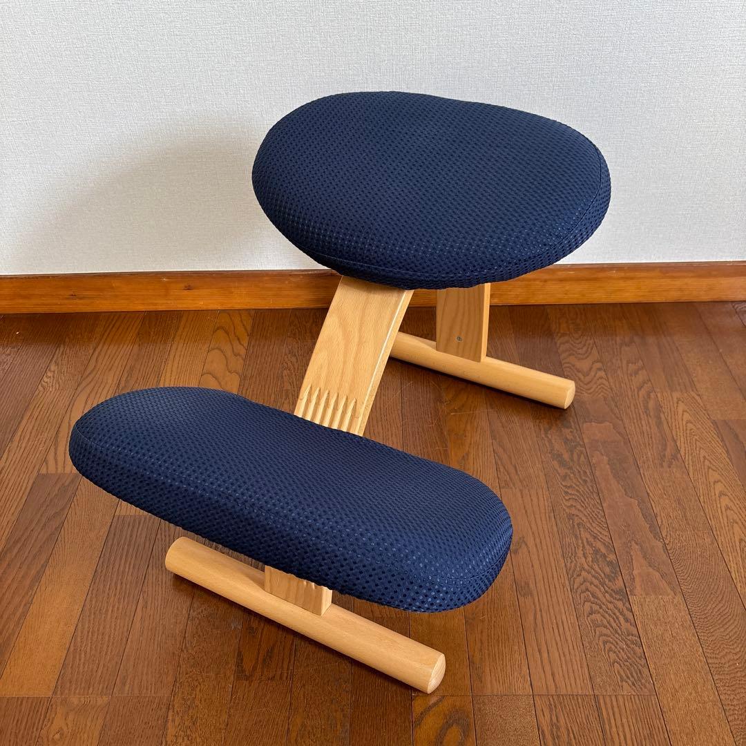 【美品】balans Easy バランスイージー ネイビー 通常フレーム