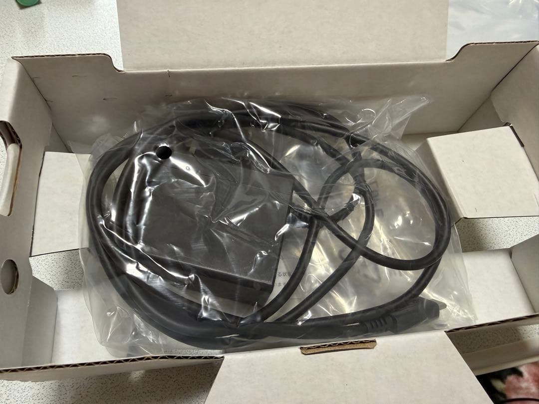 Nintendo swich Lite本体