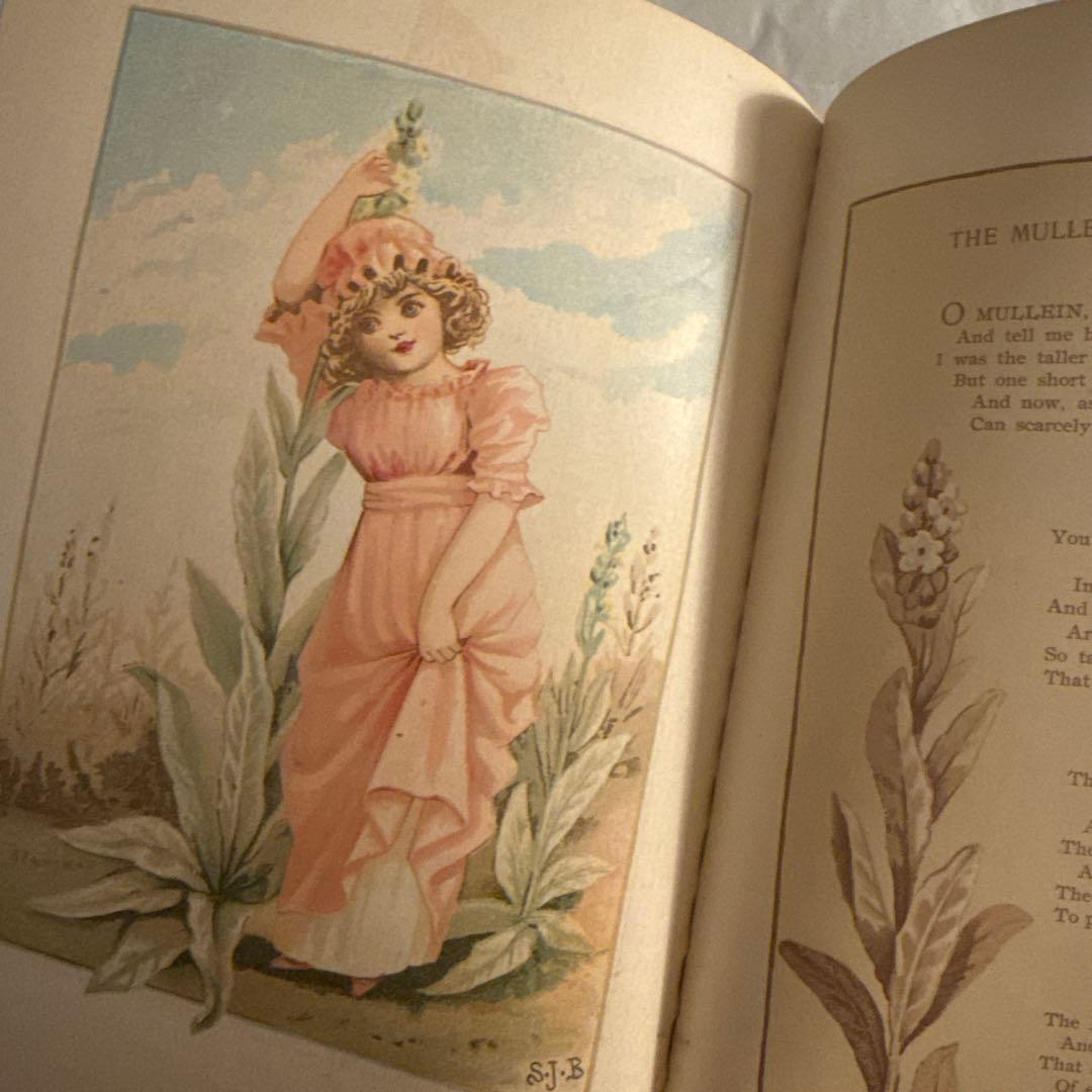 1894年アンティーク美しい挿絵ヴィクトリアン洋書　絵本ジャンクジャーナル古書