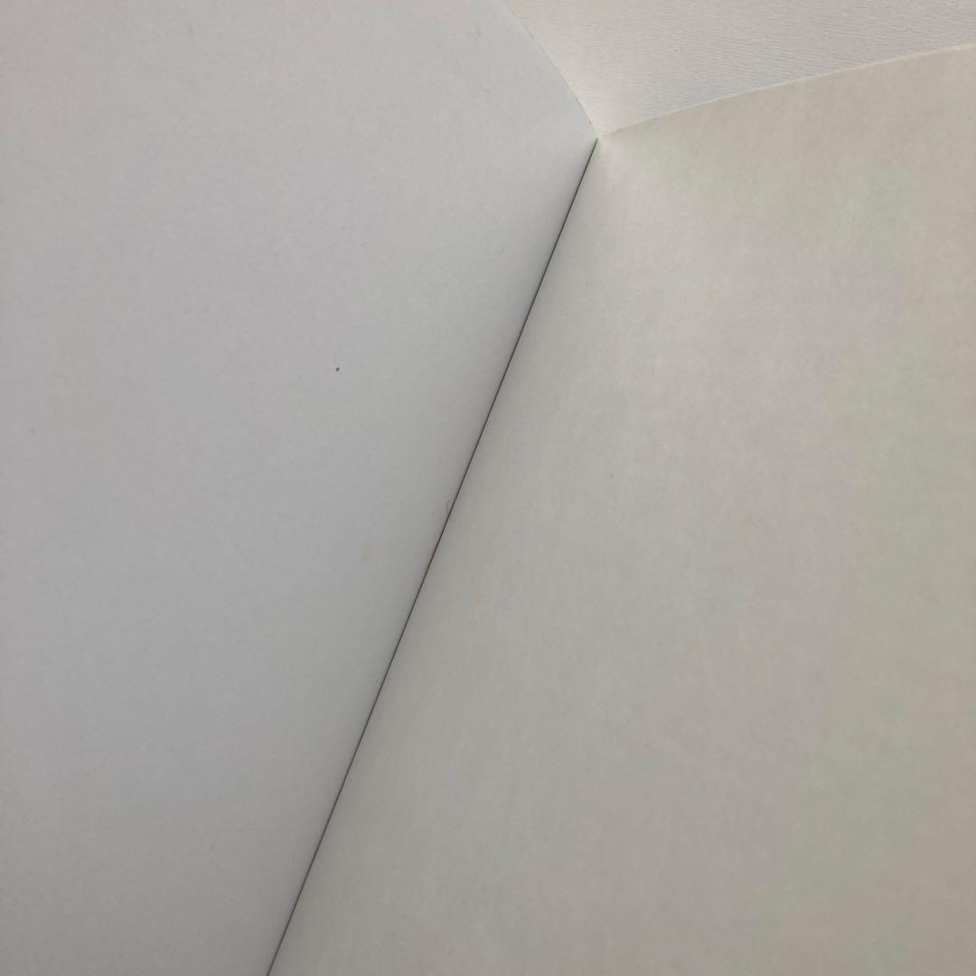 語学・辞書・学習参考書 Fourier Analysis