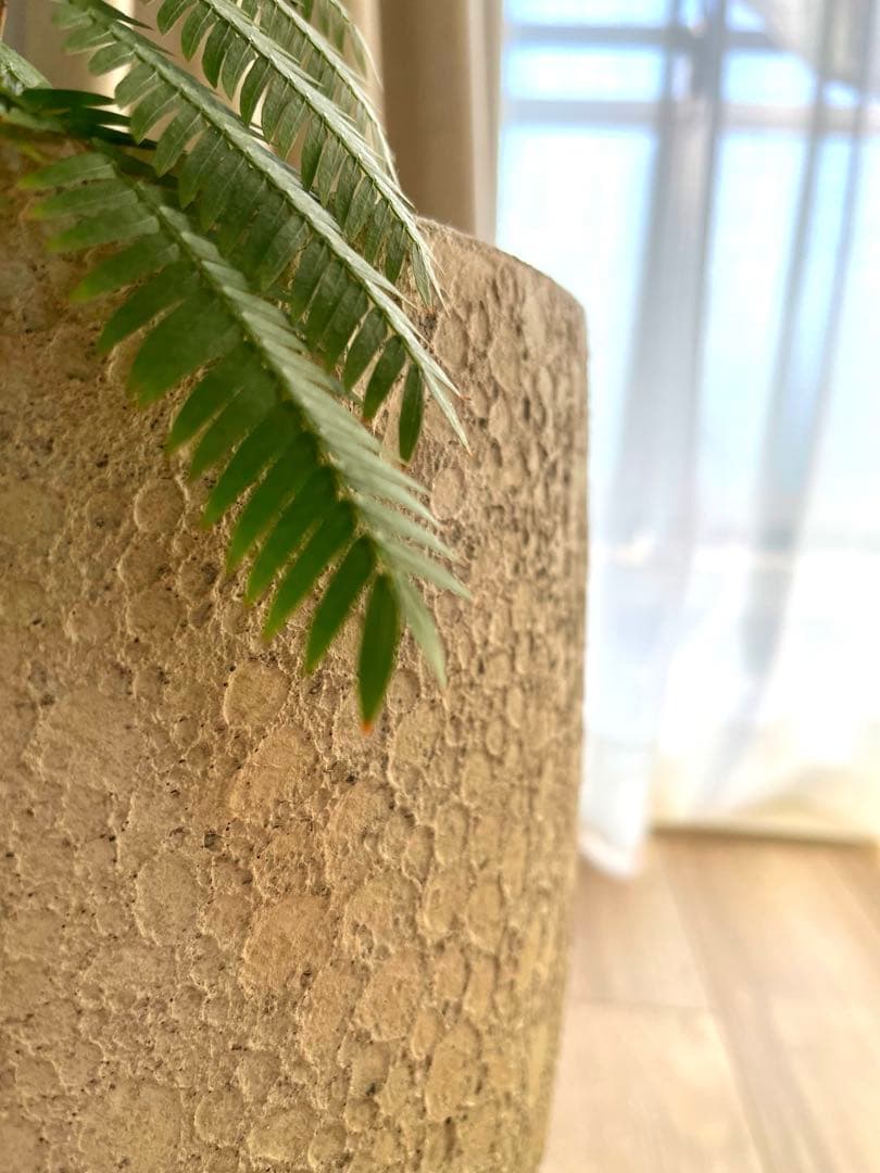 エバーフレッシュ（高さ140㎝）