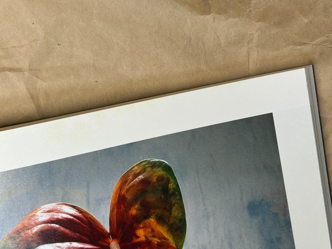 花人 中川幸夫の写真・ガラス・書　いのちのかたち　中川幸夫