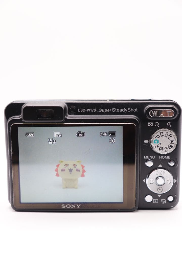 ✨動作確認済み！✨SONY DSC-W170 充電器付き！