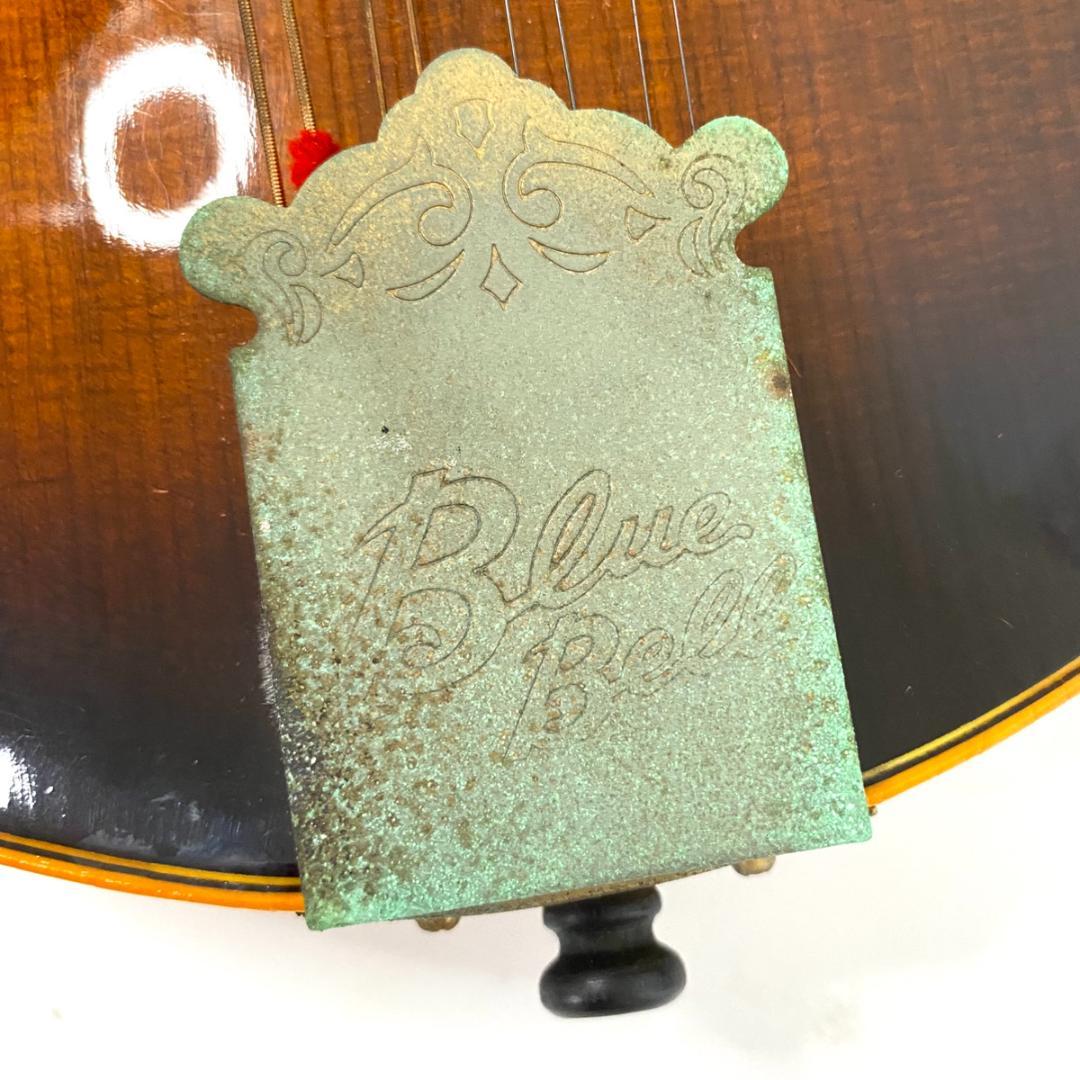 BLUEBELL ブルーベル F-12 フラットマンドリン