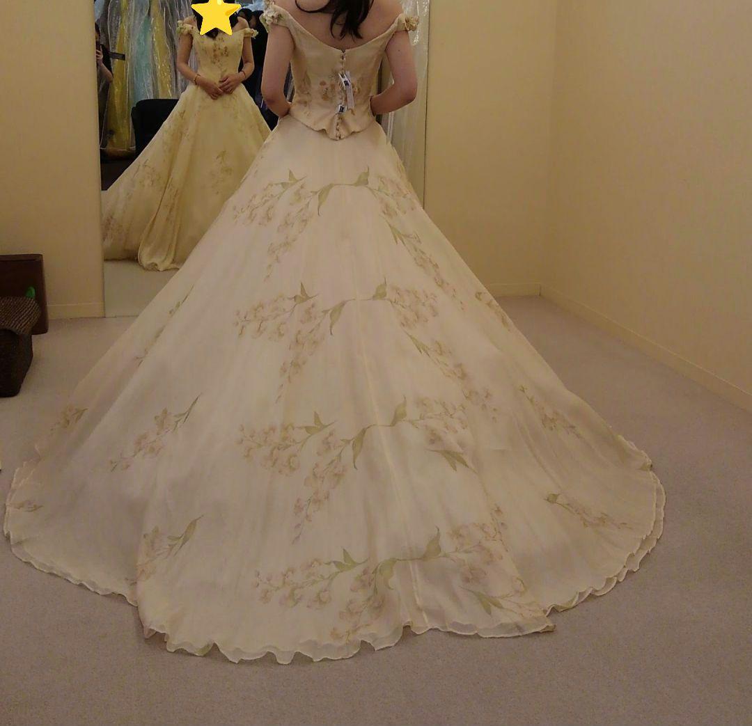 【cam】カラードレス9号　アトリエアイメ　パニエ・ドレスバック