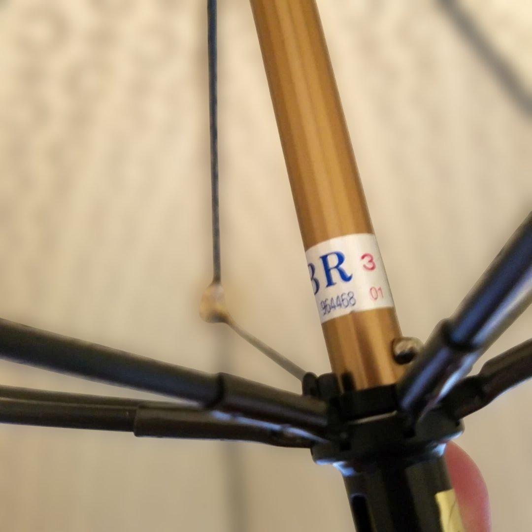 【極美品・希少】CELINE 傘 トリオンフ 総柄 ベージュ ゴールド金具