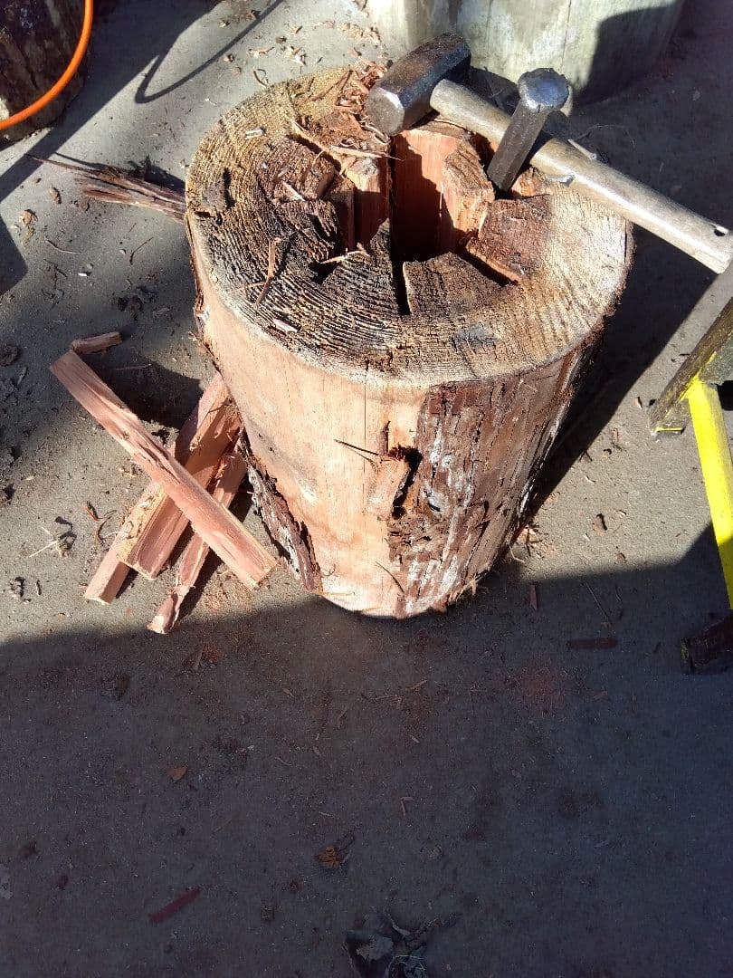 みつばち飼育箱、昆虫飼育用 中空洞木材 杉材 樹洞 くり抜き 丸洞 丸太