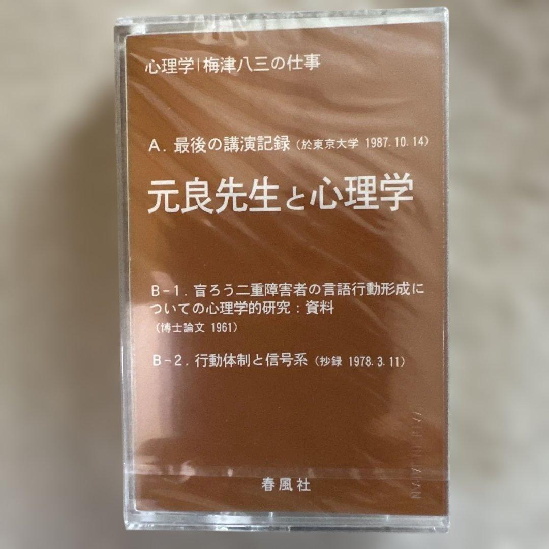 【特別支援教育】心理学 梅津八三の仕事 全3巻 ビデオ付き