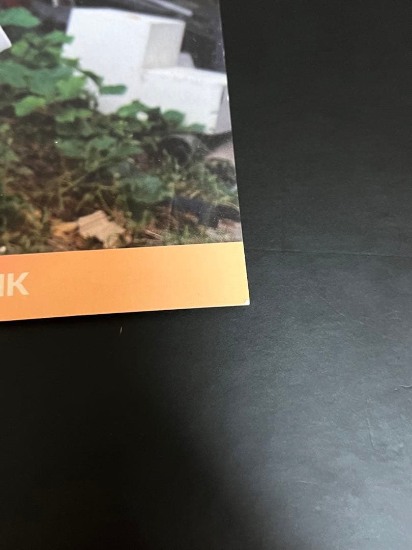 TWICE TT ナヨンサノクフォト