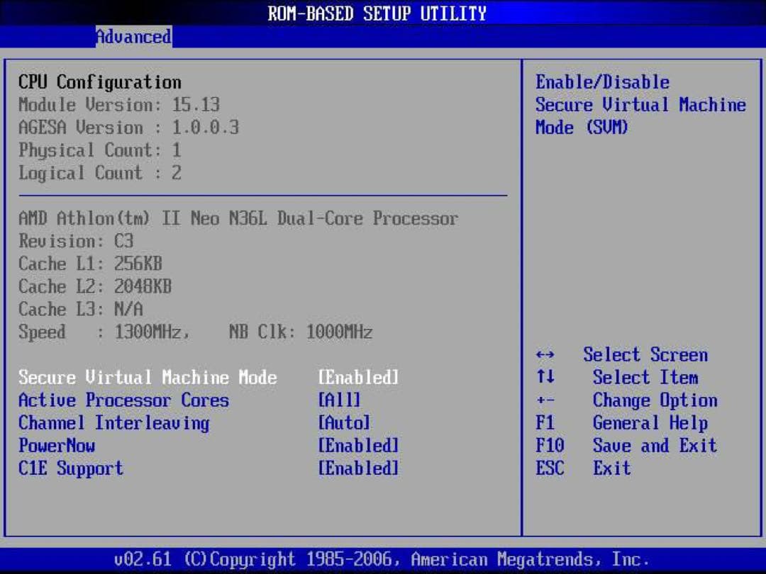 サーバー HP MicroServer N36L + Remote Access Card