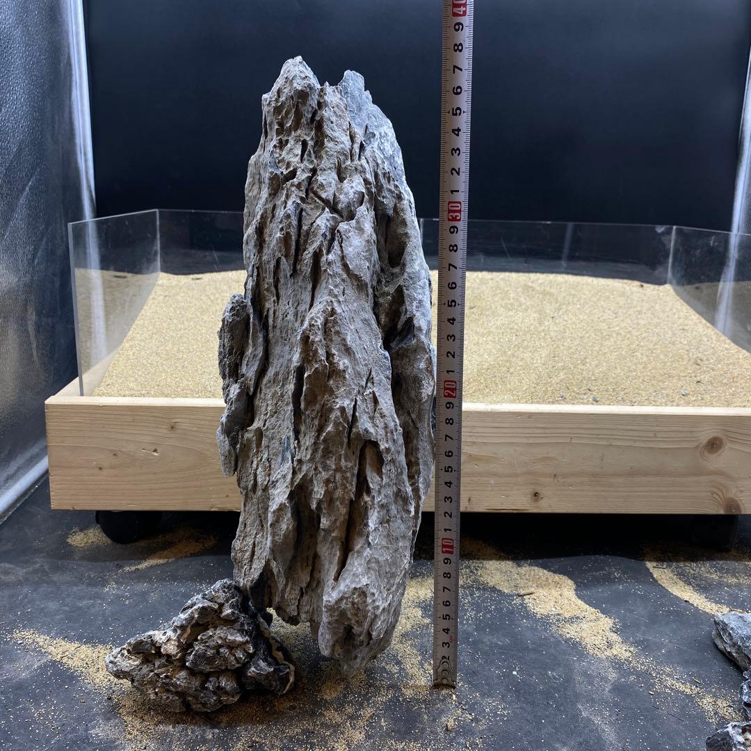 MSS-6616 セレクト品青龍石38cm親石　龍王石　竜王石