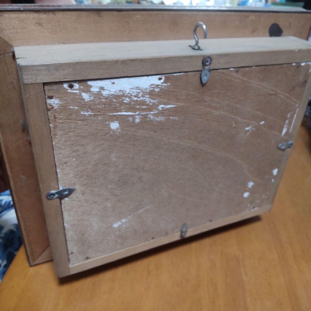 やっちゃん　メガネトリバネアゲハ　スルコウスキーモルフォ蝶　蝶の標本