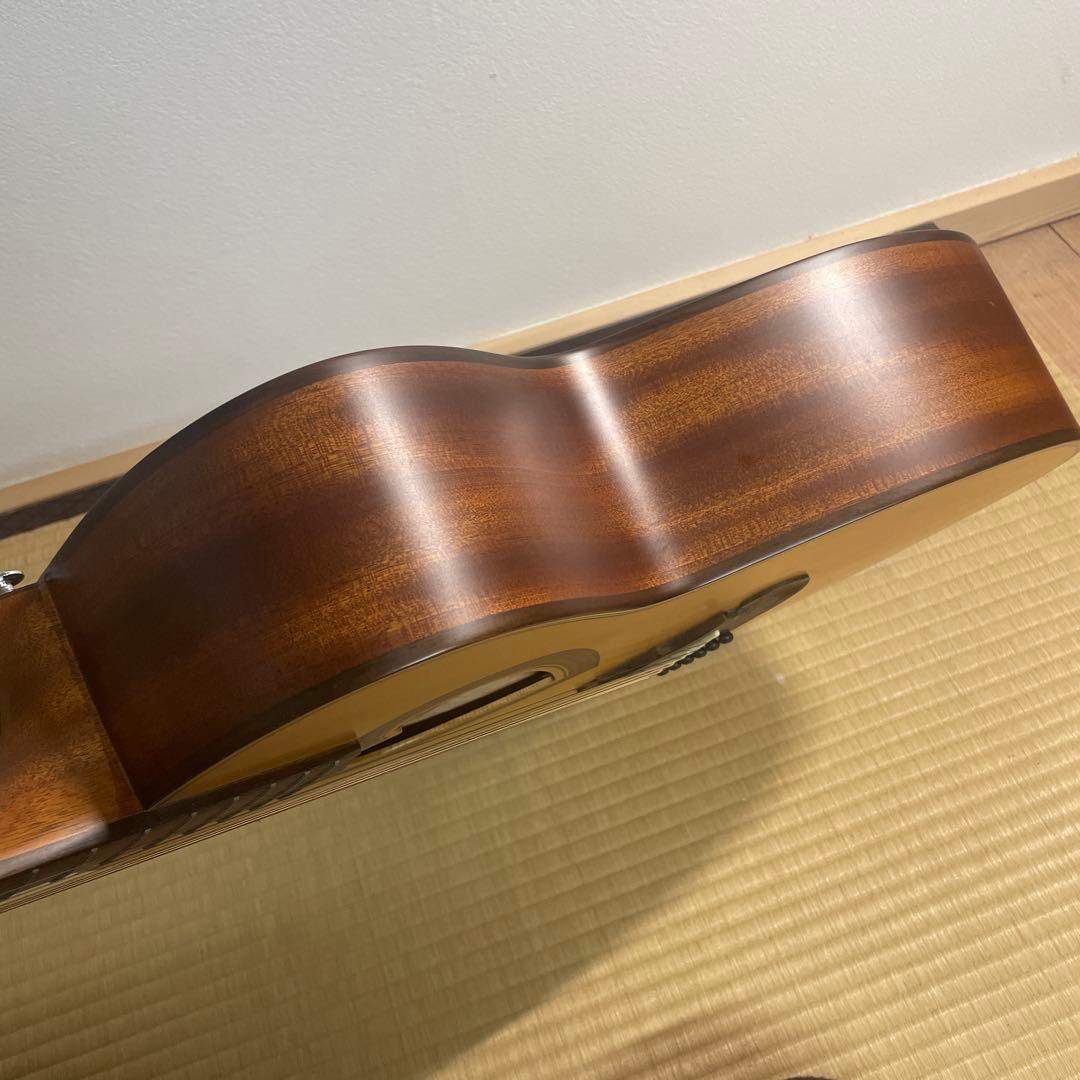 希少カワイイ❤️ ゼマイティス CAG-100HW-E アコギ　エレアコ　ハート