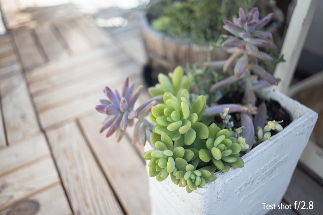 美品 キヤノン AE-1 PROGRAM ブラック NFD 28/2.8 動確認