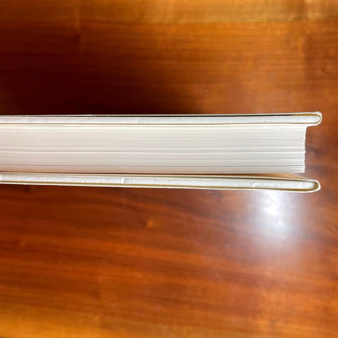 【希少品】石田徹也全作品集（求龍堂）