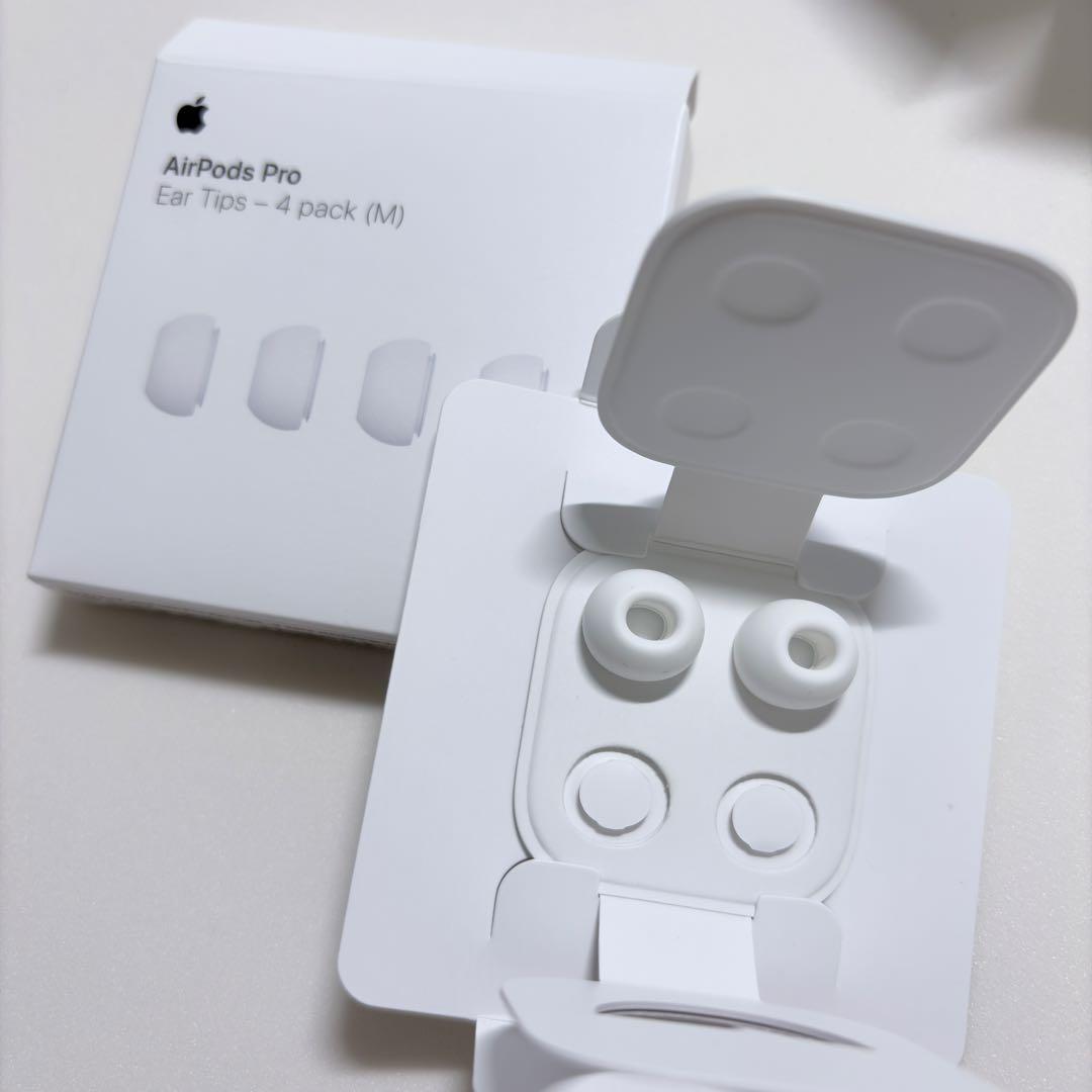 【PANTON448C】AirPods Pro2・全備品+オマケ付き