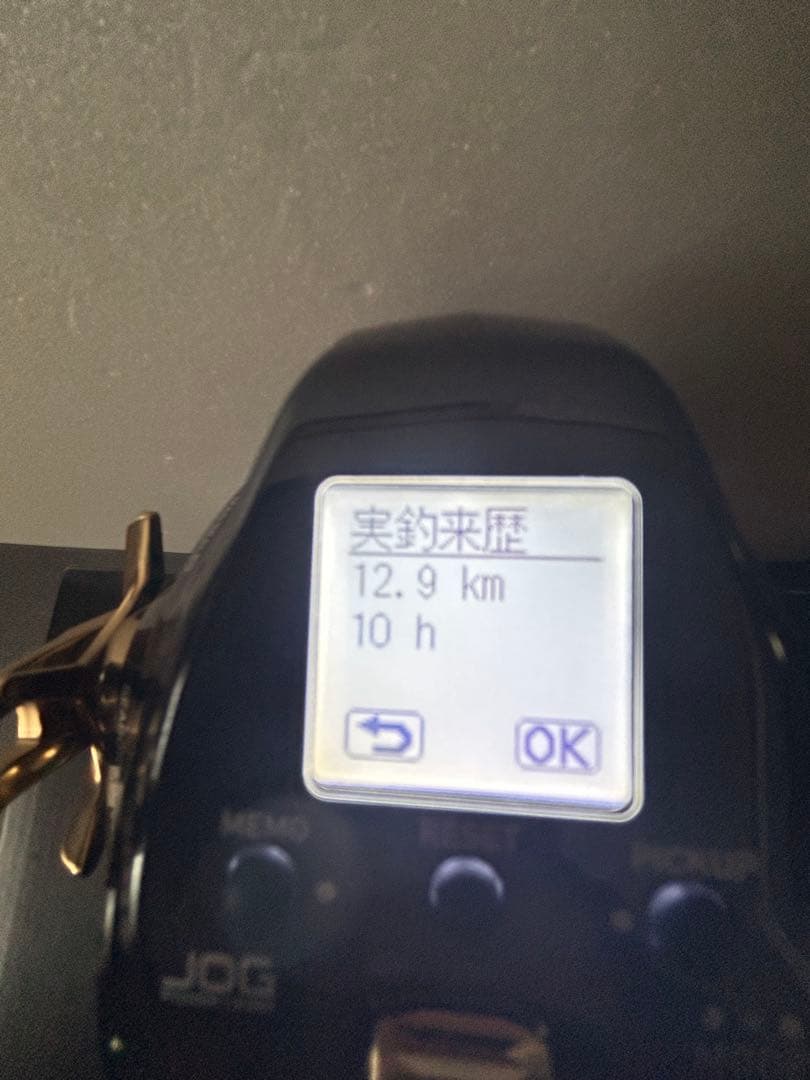 ダイワ シーボーグ G300JL【実釣来歴12.9km 10h】