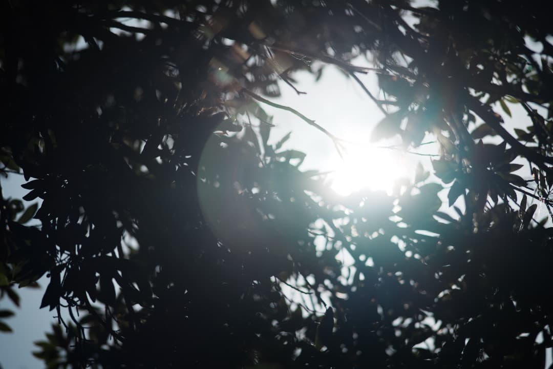 整＆テスト Nikon Ai-s Nikkor 180mm F2.8 ED 53