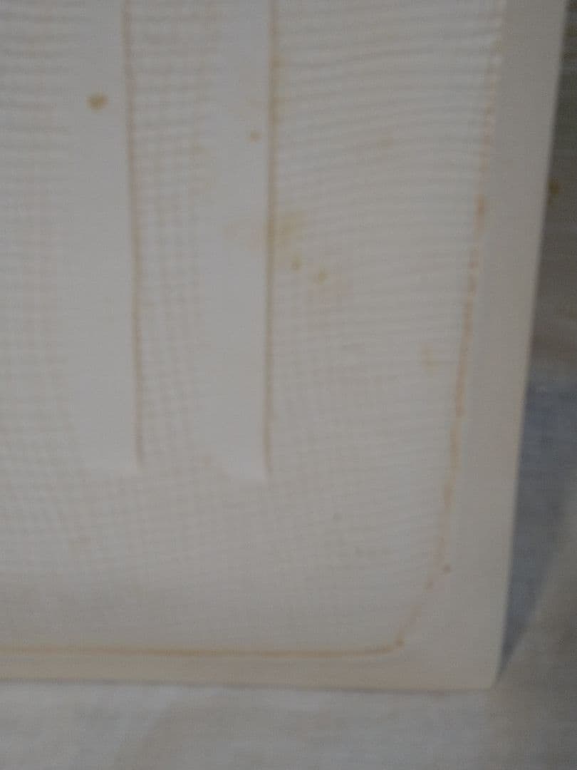 江風　飾り皿　食器　菖蒲　花柄　アンティーク　美術品　工芸品　骨董品　レトロ