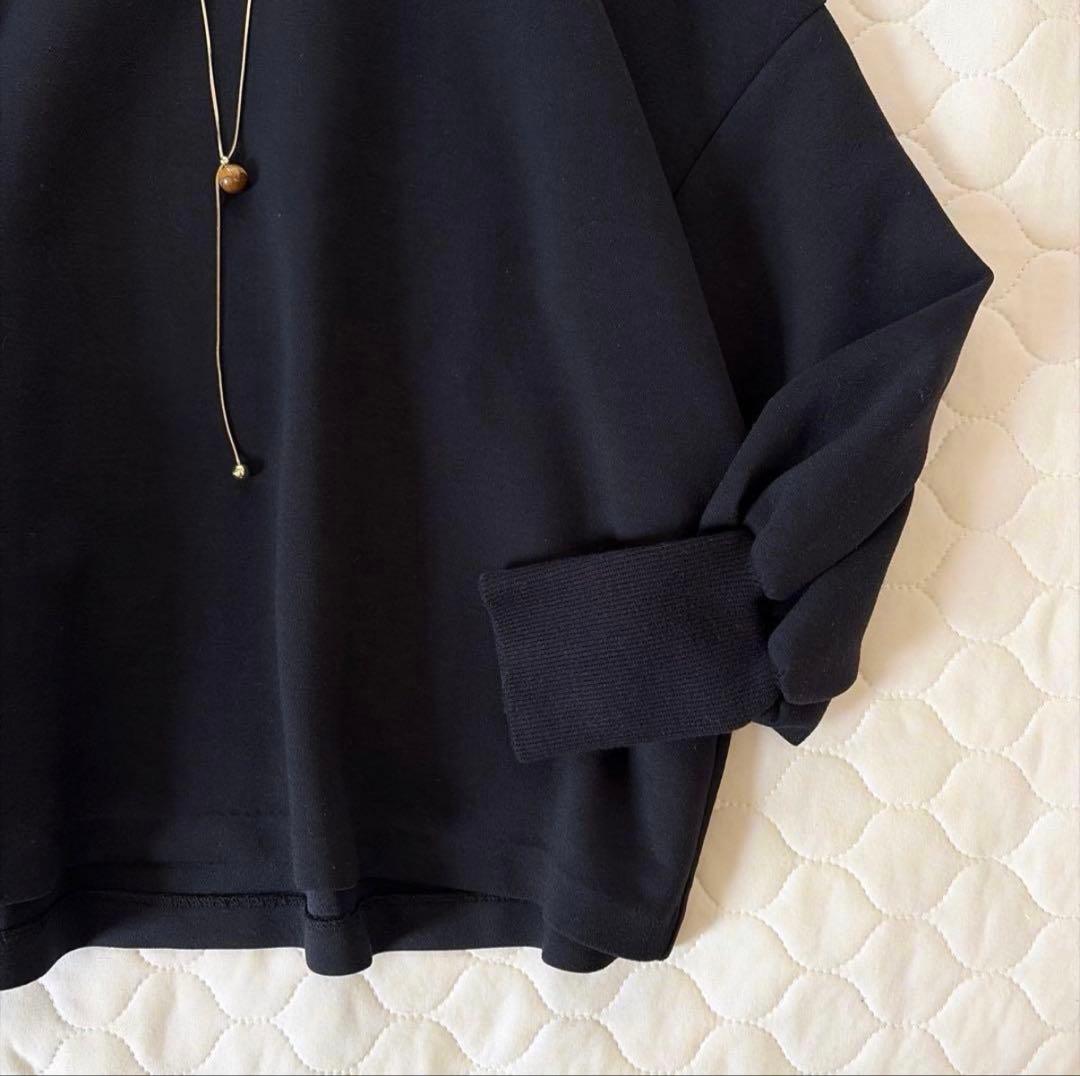 BEARDSLEY✴︎ダンボールパフトレーナー　ブラック　FREEサイズ