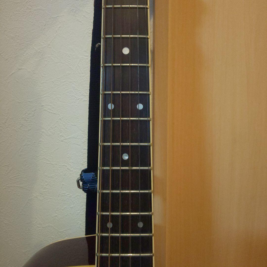 promartin ea500w vs エレアコ　ギター