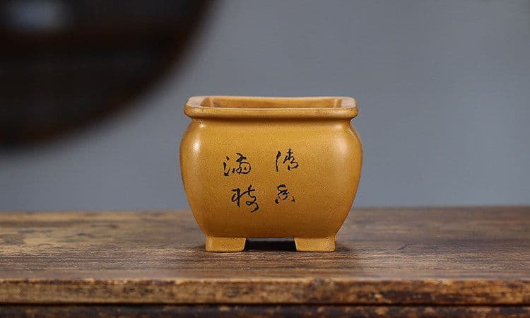 多肉植物鉢 紫砂鉢 盆栽鉢 植木鉢 小品盆栽鉢 大品盆栽鉢