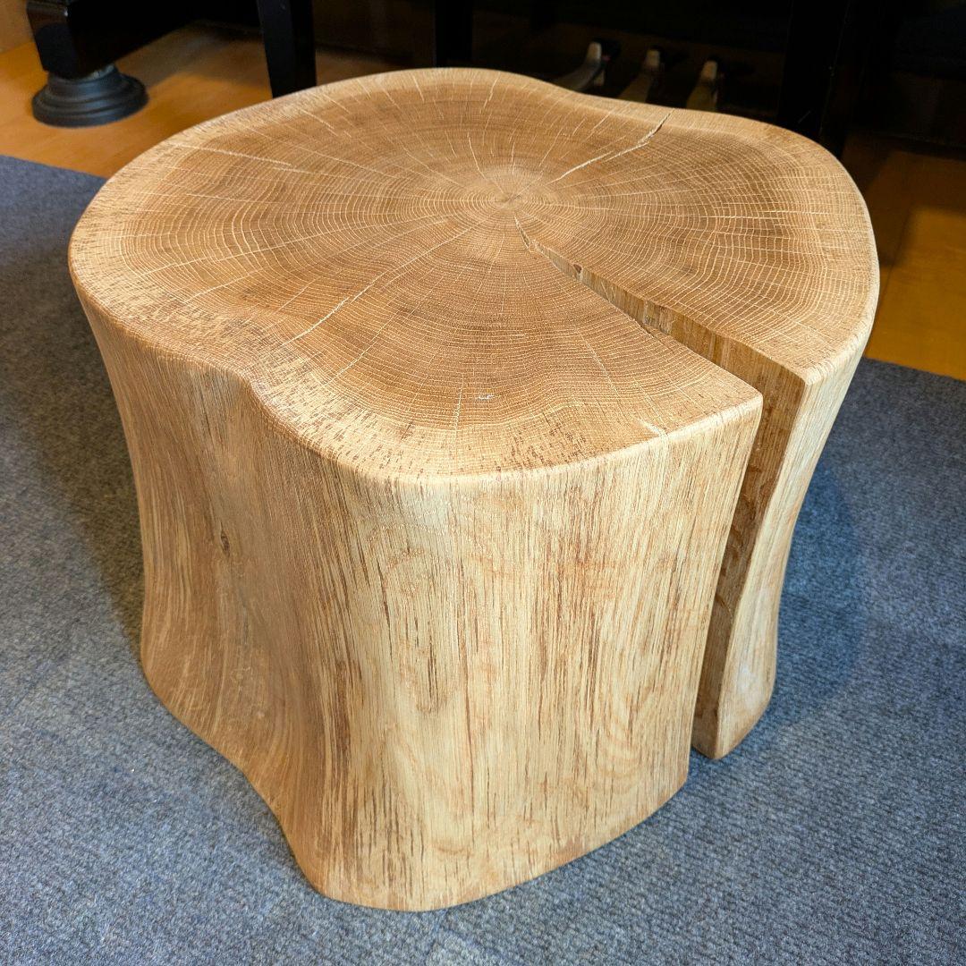 3104　　ミズナラ　水楢　天然木　切り株　丸太　輪切り　高さ約28㎝