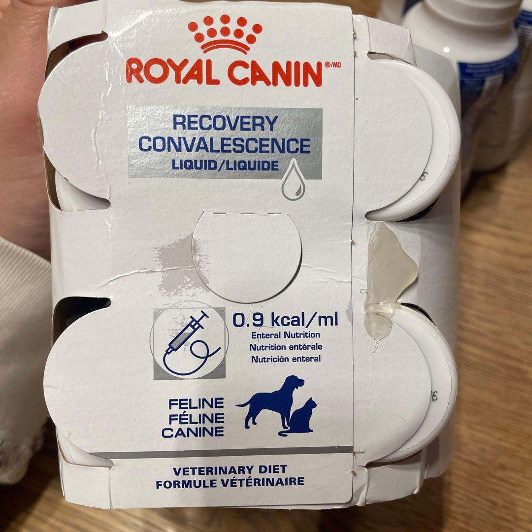 【訳あり】 CANIN 流動食 4本パック＋3本