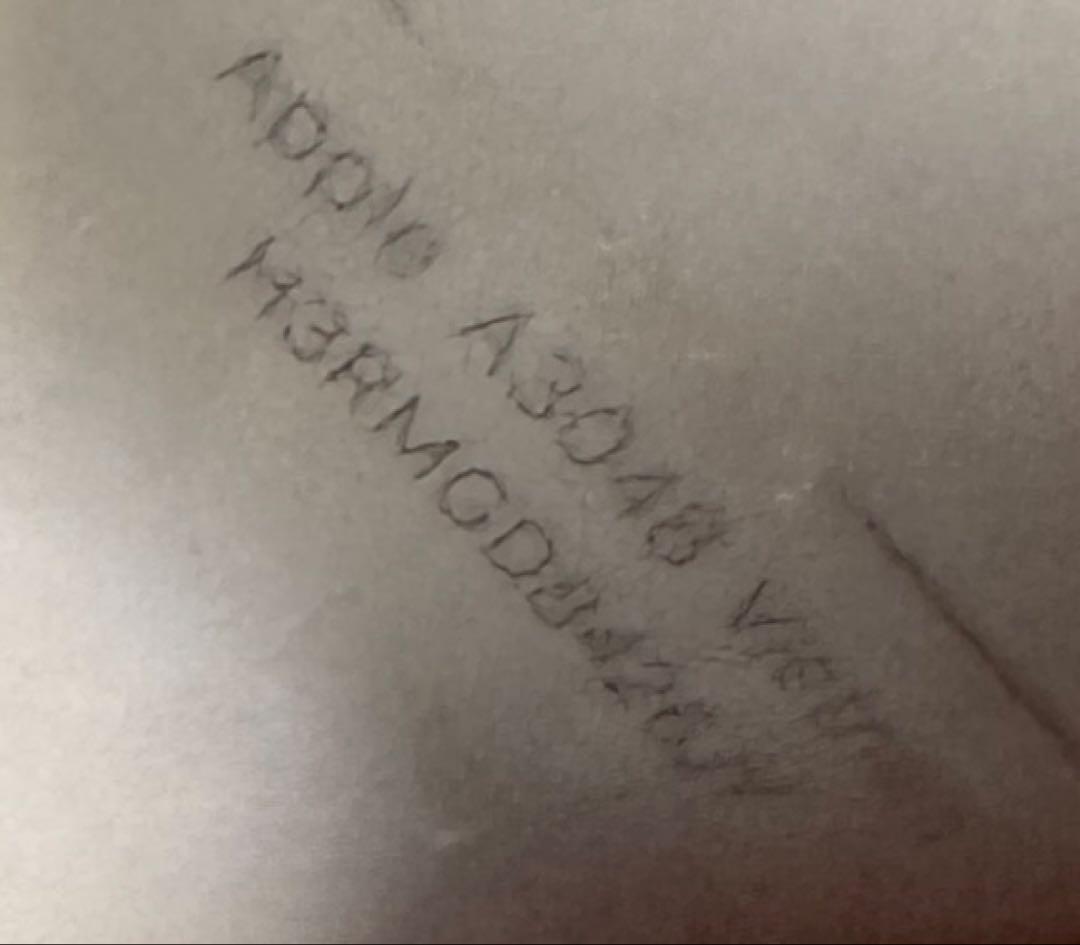 左耳のみ　Apple純正 AirPods Pro 第2世代A3048