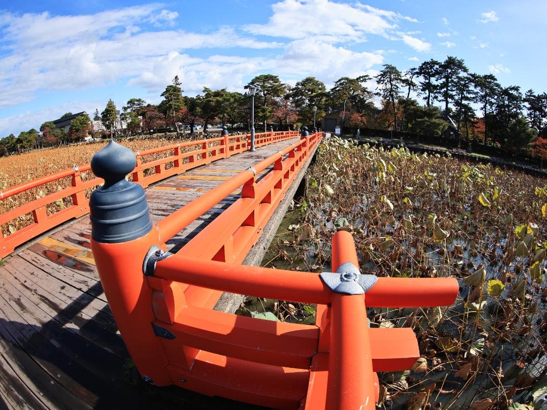 Canon EF8-15mm F4L フィッシュアイ USM