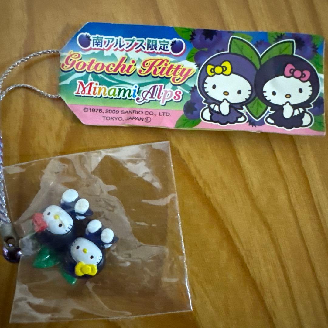 激レア！　ご当地ハローキティ　5個セット　奈良　南アルプス　茨城　神戸　東京