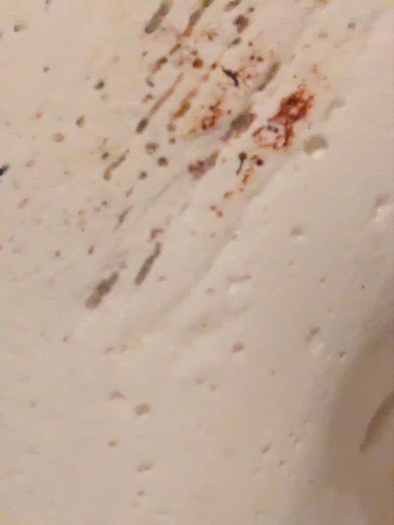 石膏像　モーゼ大顔面