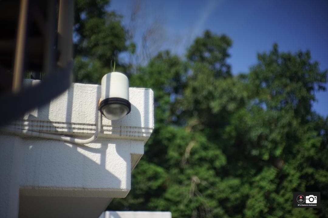 uta様Nikkor S C 5ｃm F/1.4 Nikon S整備済