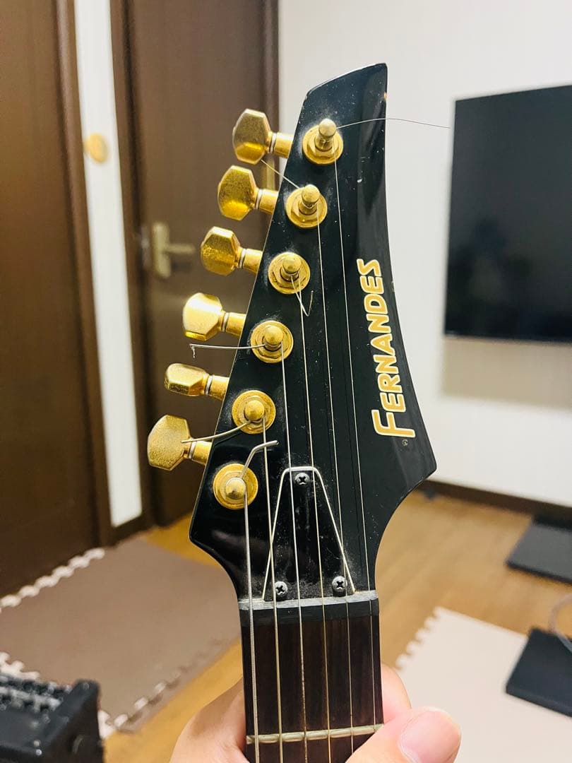 フェルナンデス　FGZ-420