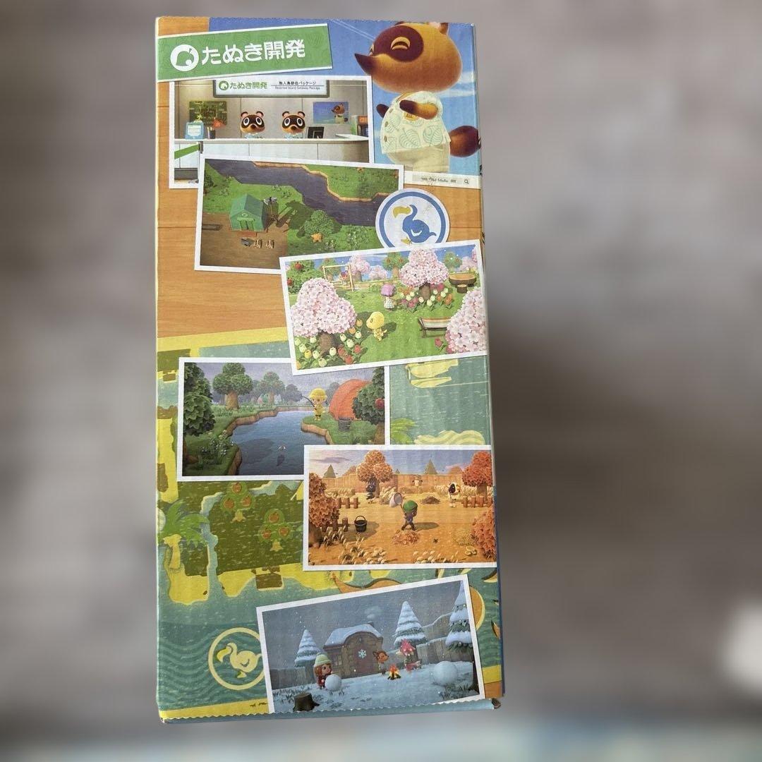 Nintendo Switch どうぶつの森セット 完品 本体ケース付き