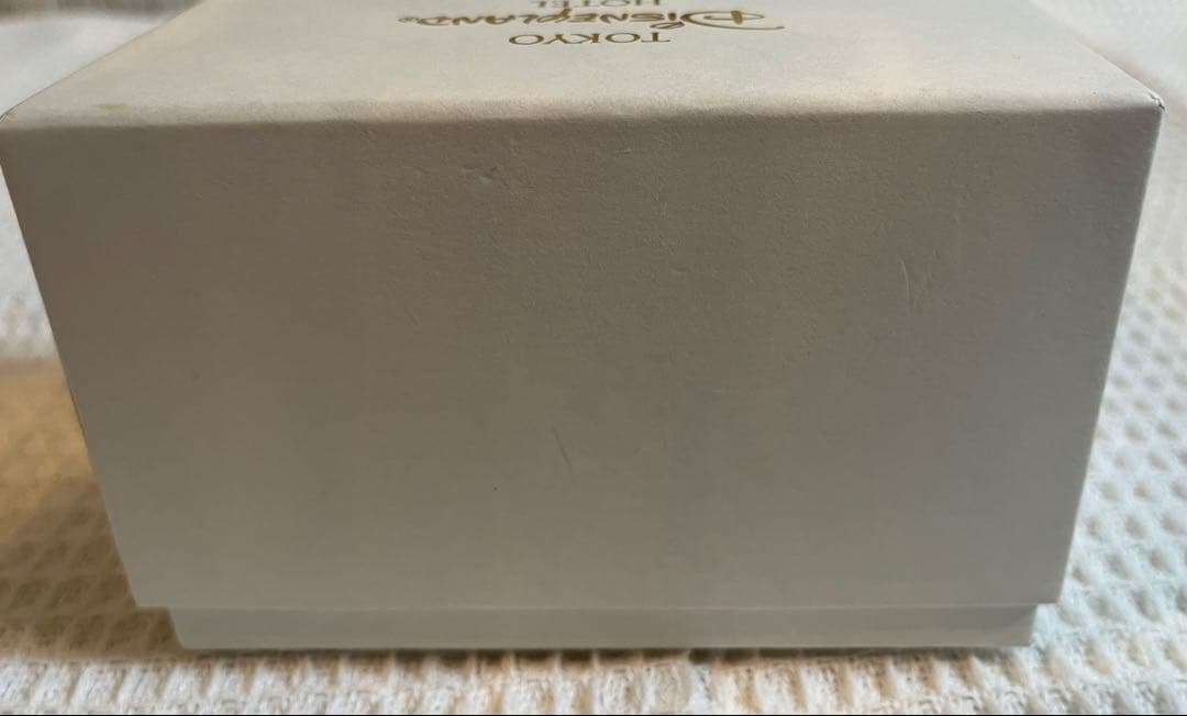 ディズニーランドホテル スイートルーム 限定 ミッキー トレイ　Disney