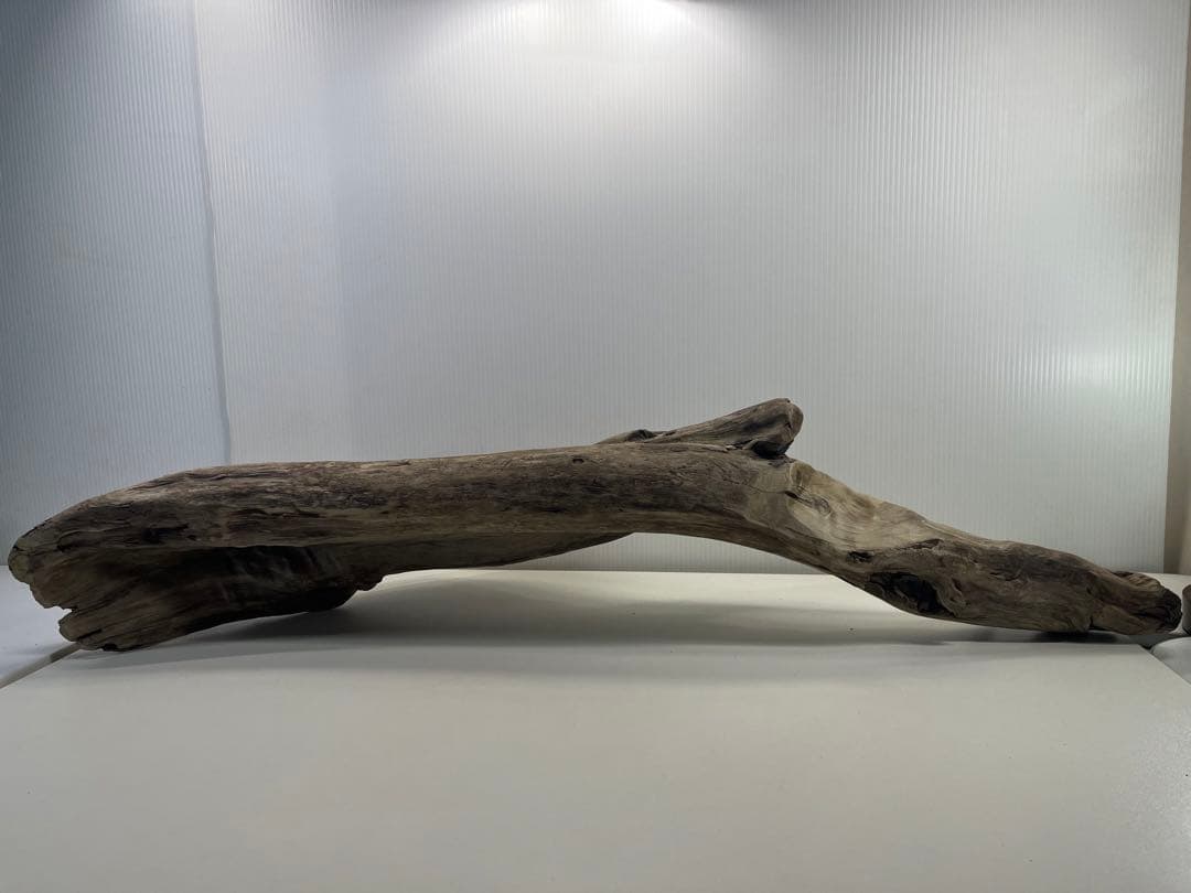 V84特大流木 アク抜き済み流木 爬虫類シェルター 登り木 インテリア 生け花