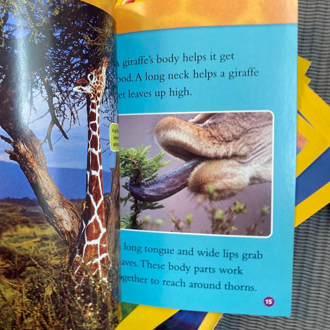 National Geographic Kids レベル1,2,3